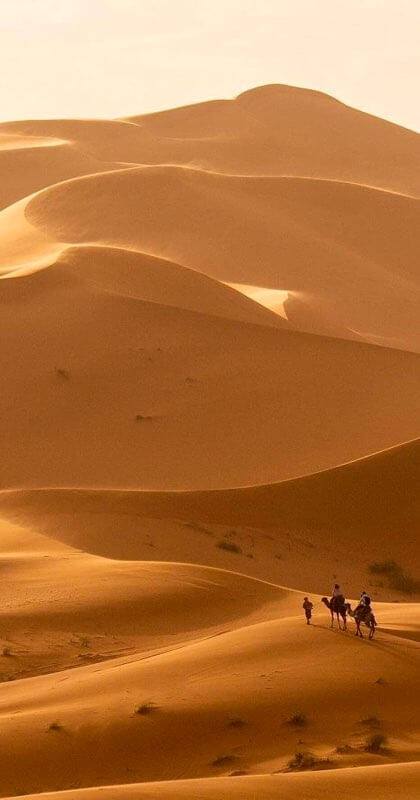 A couple deep in the desert being led by a guide up a giant dune