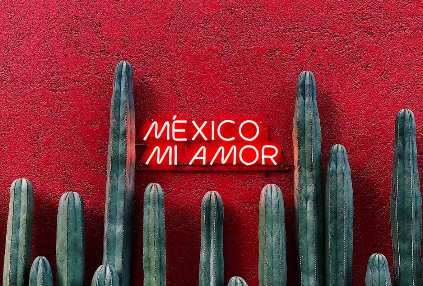 a neon sign saying 'Mia amore, Mexico!' on a print pink wall