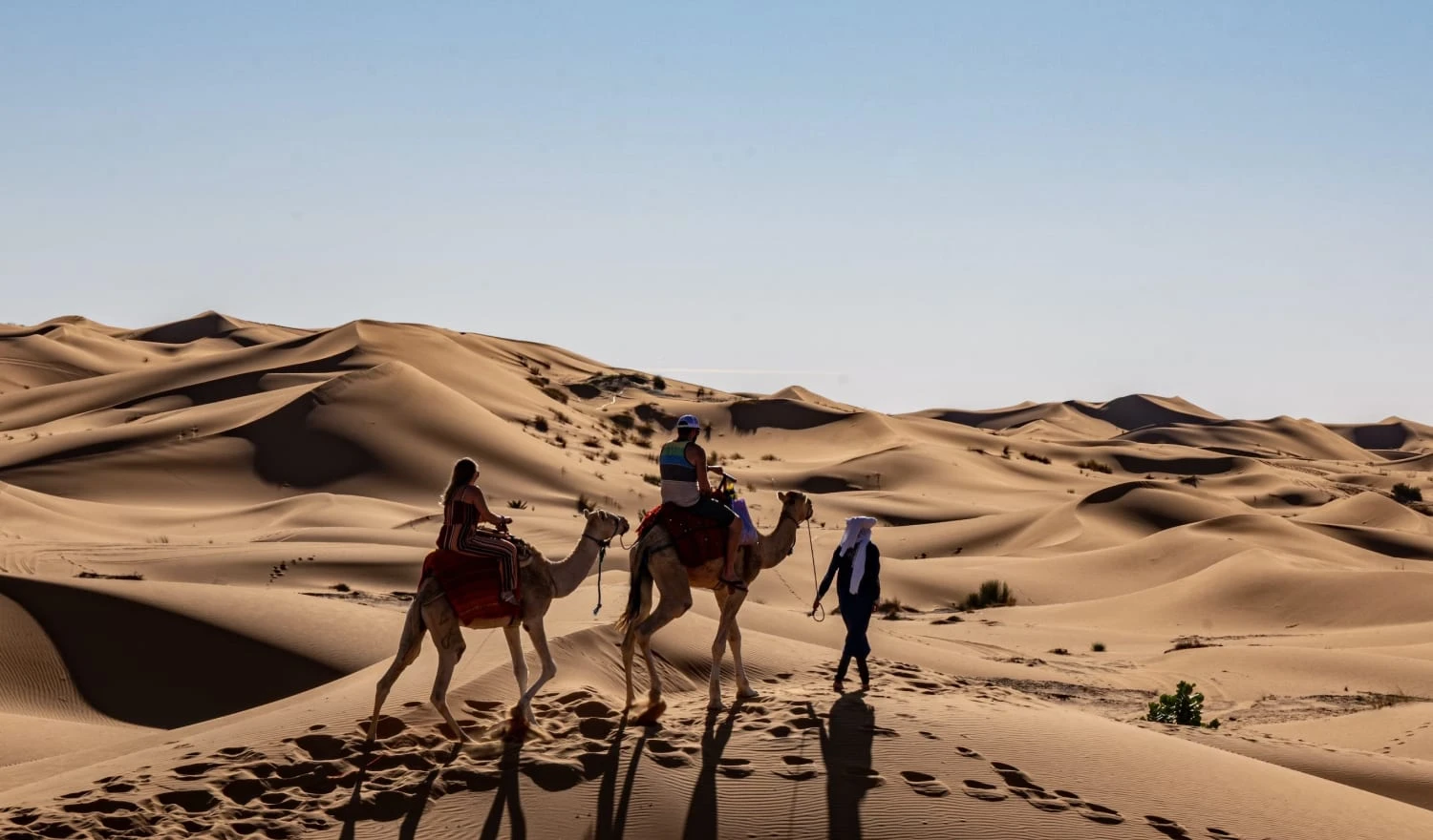 A couple of a guided camel riding experience in the desert.