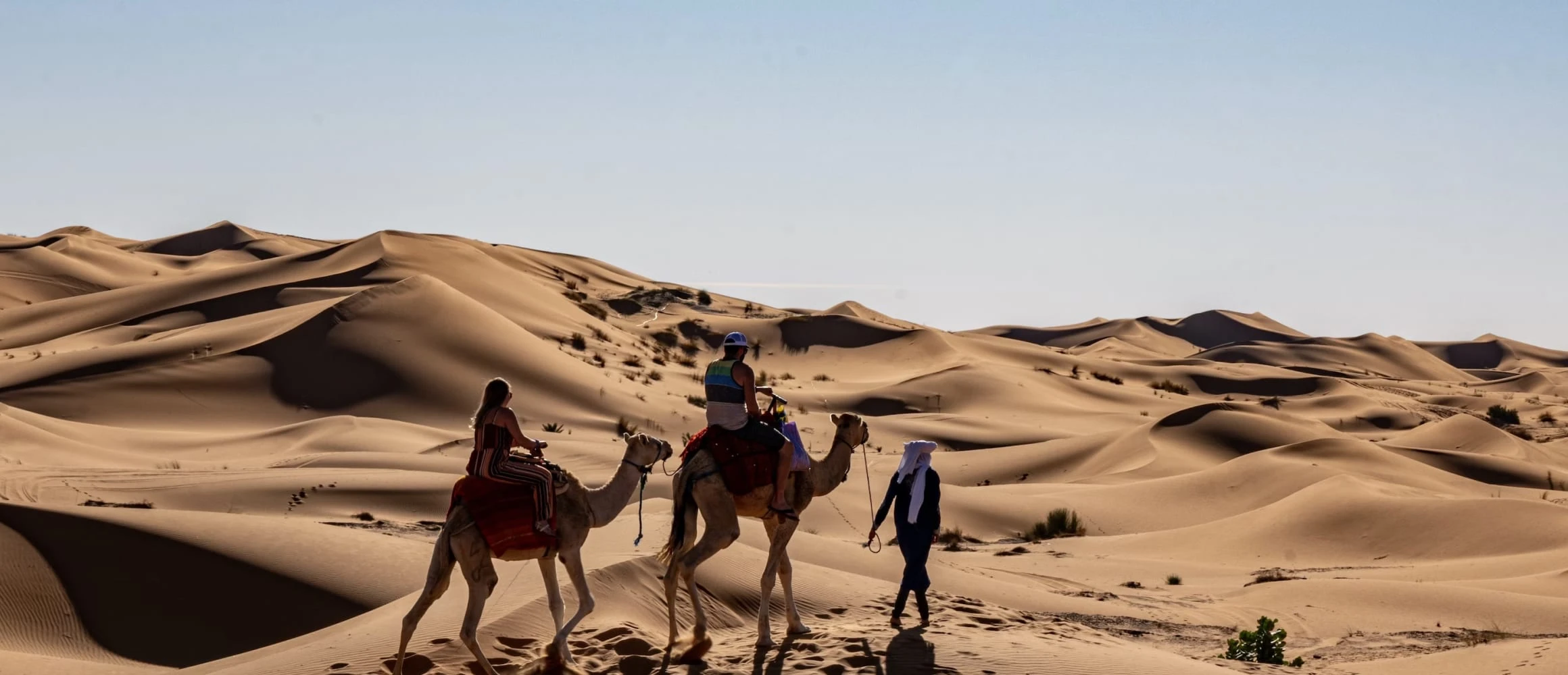 A couple of a guided camel riding experience in the desert.