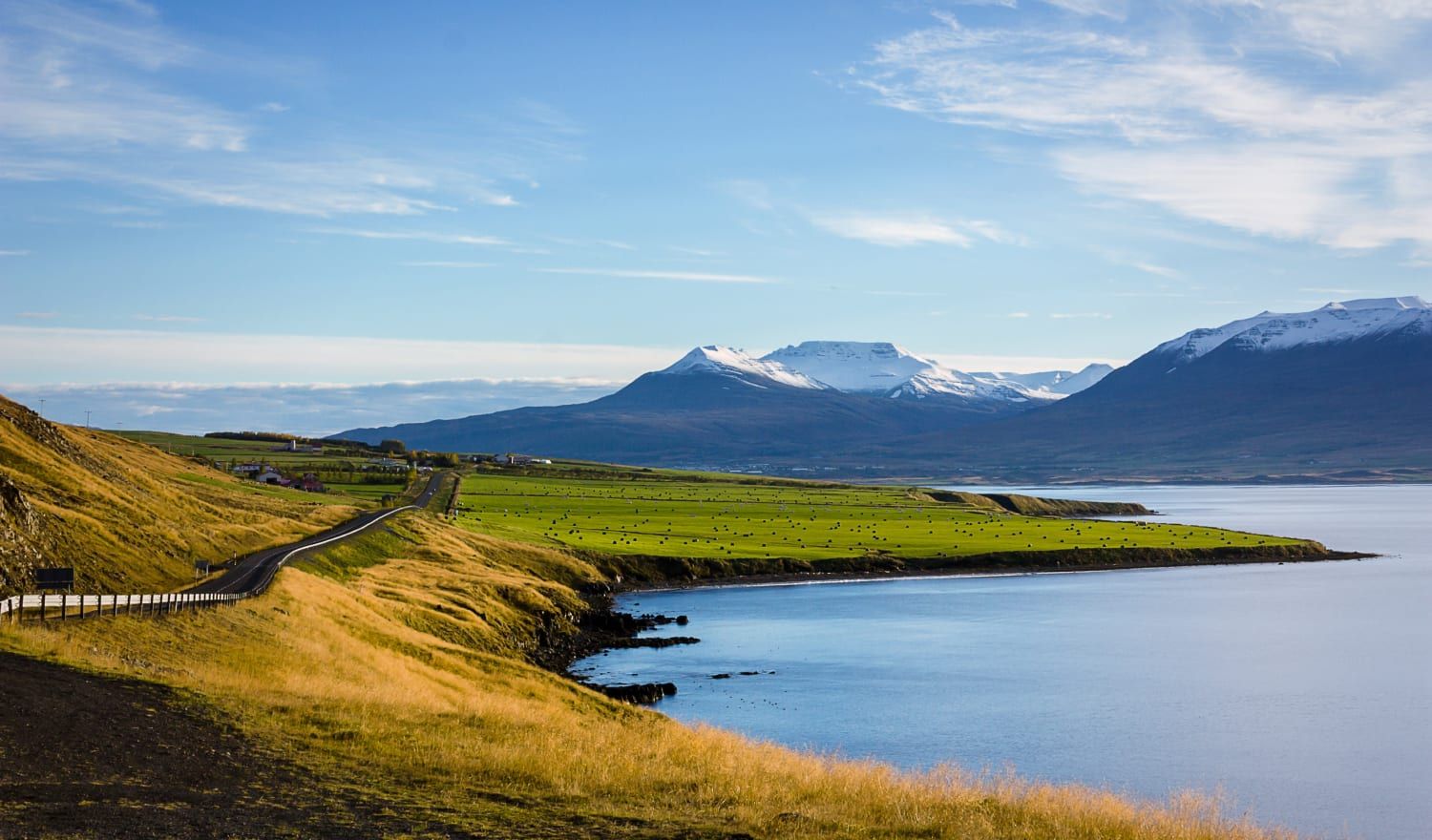 Green grass meets snowy mountains and clear blue water