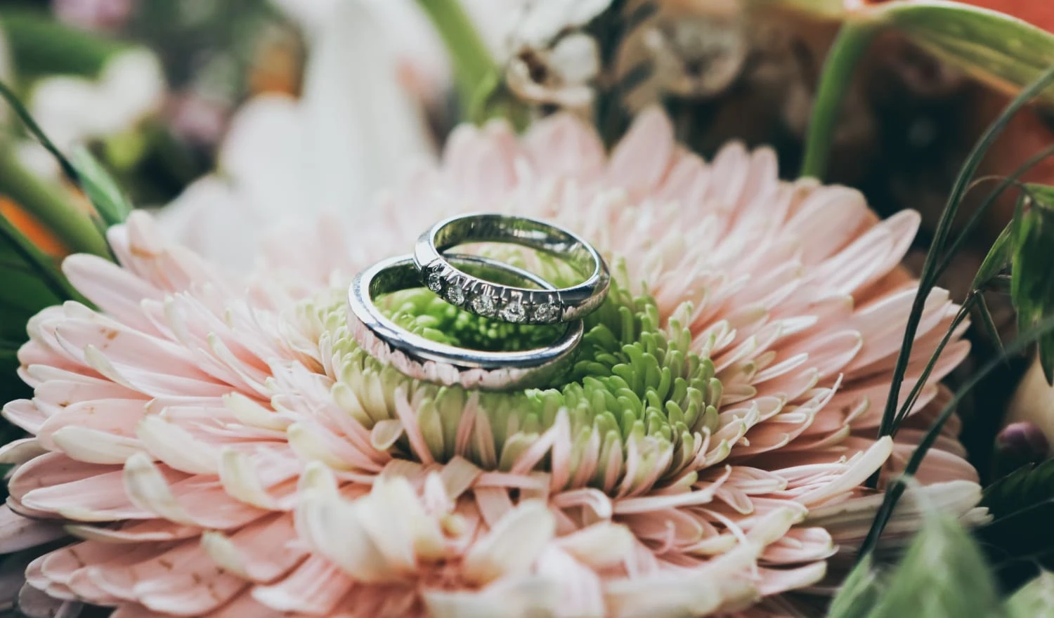 Wedding rings sitting on a flower