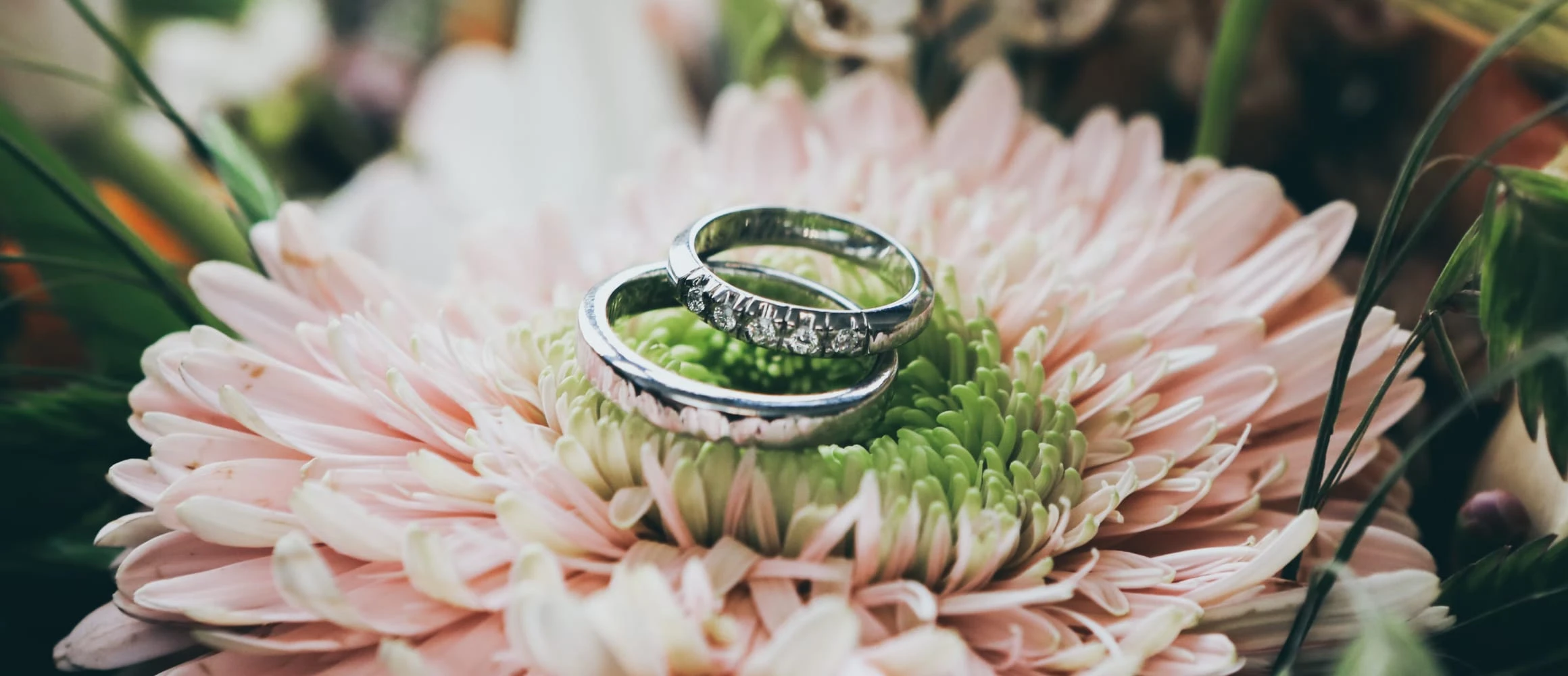 Wedding rings sitting on a flower