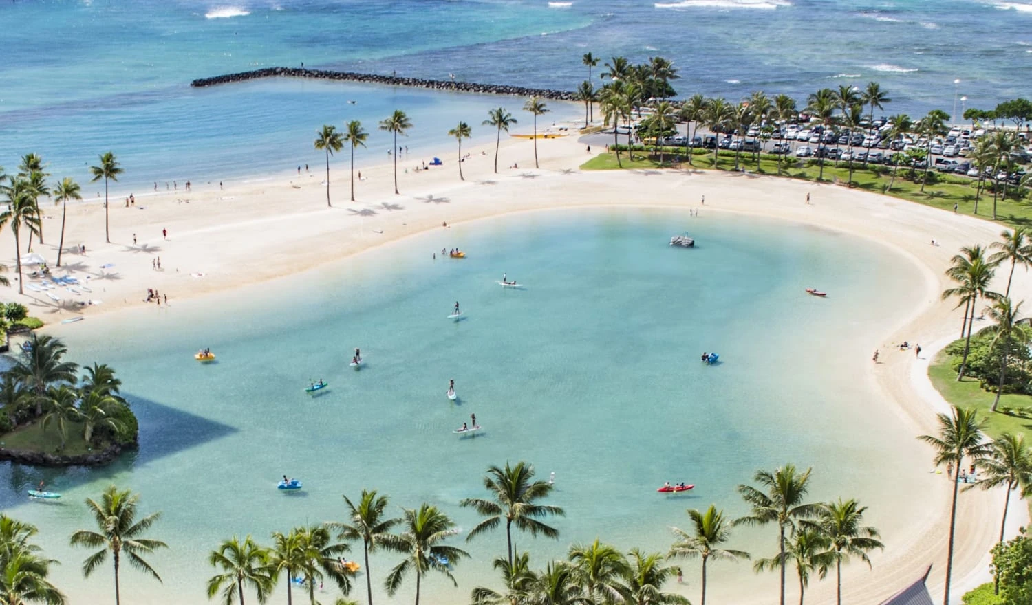 View of a pond in Hawaii