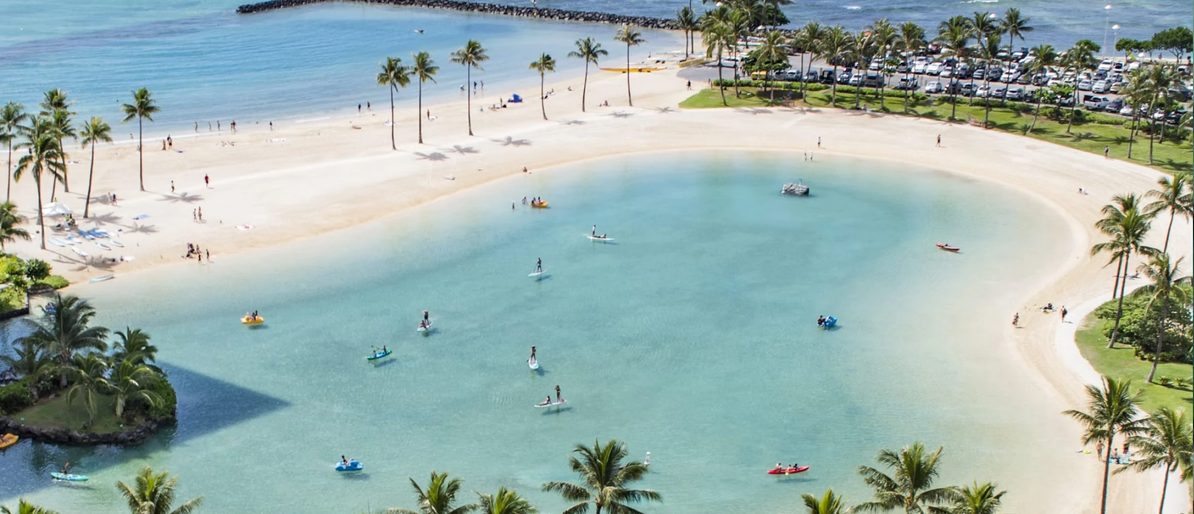 View of a pond in Hawaii