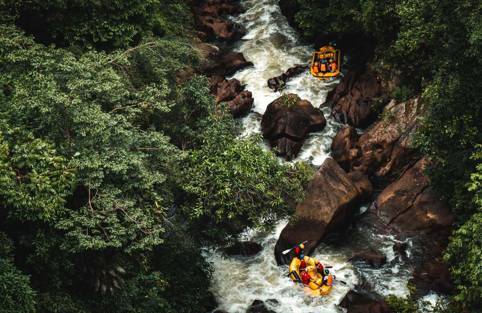 The winding rapids of Ubud Forrest