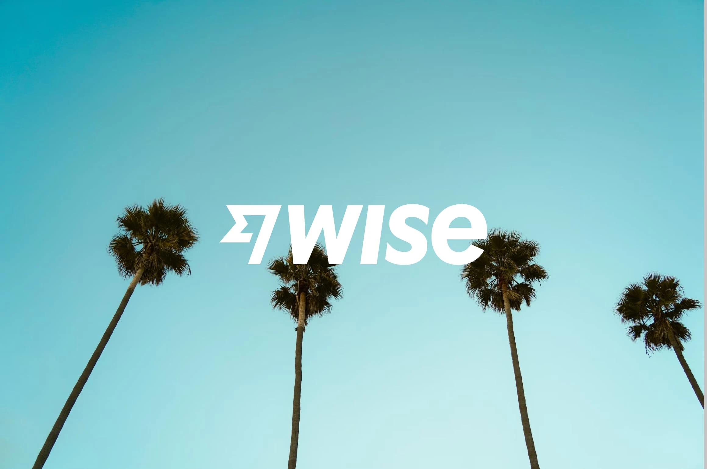 Palm trees behind a Wise logo