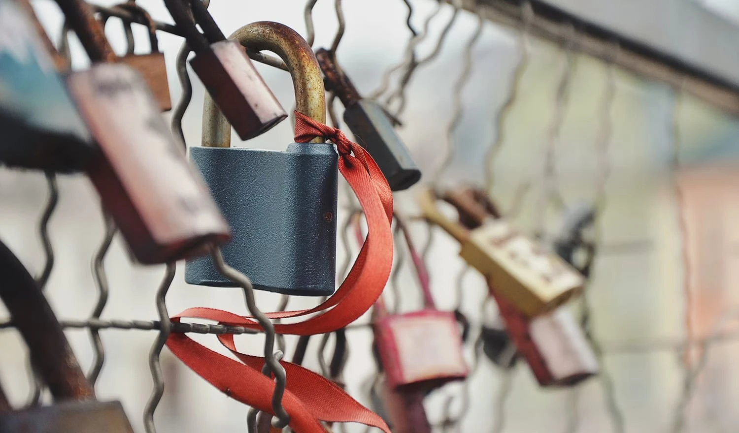 Love locks on a bridge