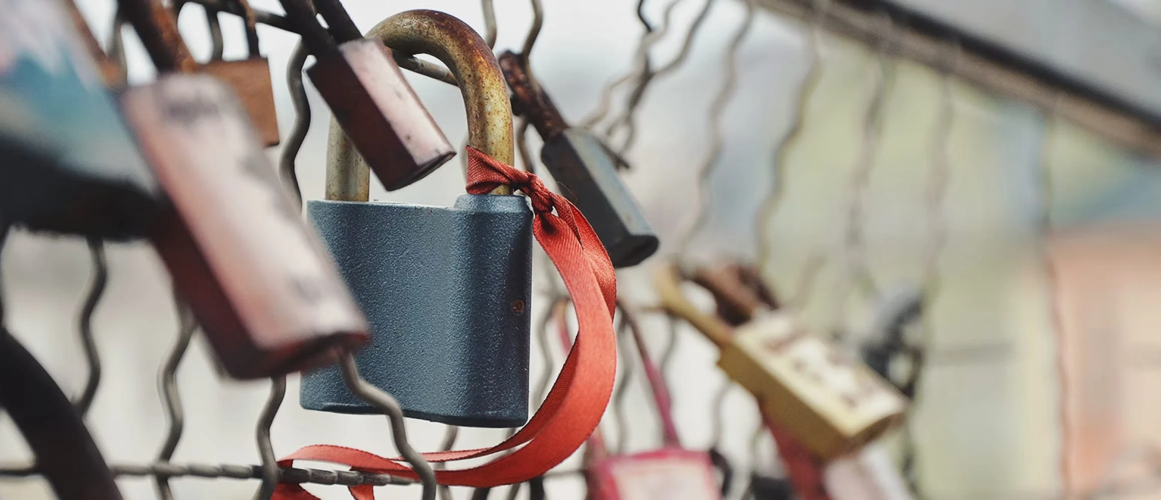 Love locks on a bridge