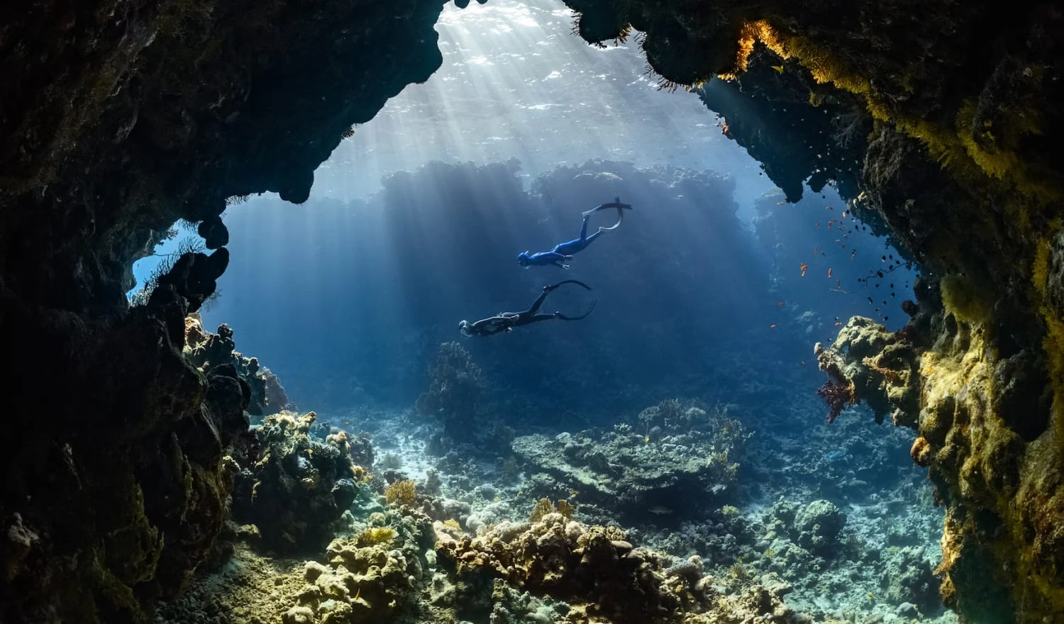 A couple diving in the ocean