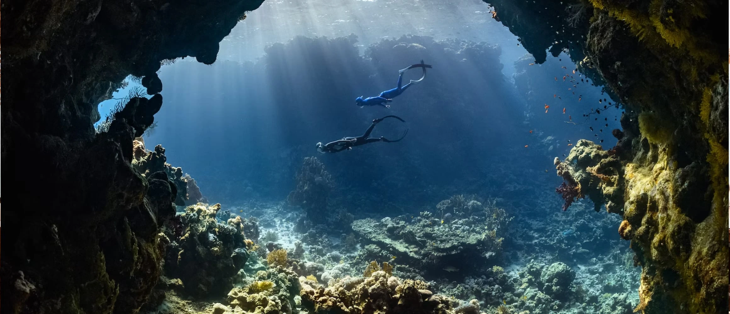 A couple diving in the ocean