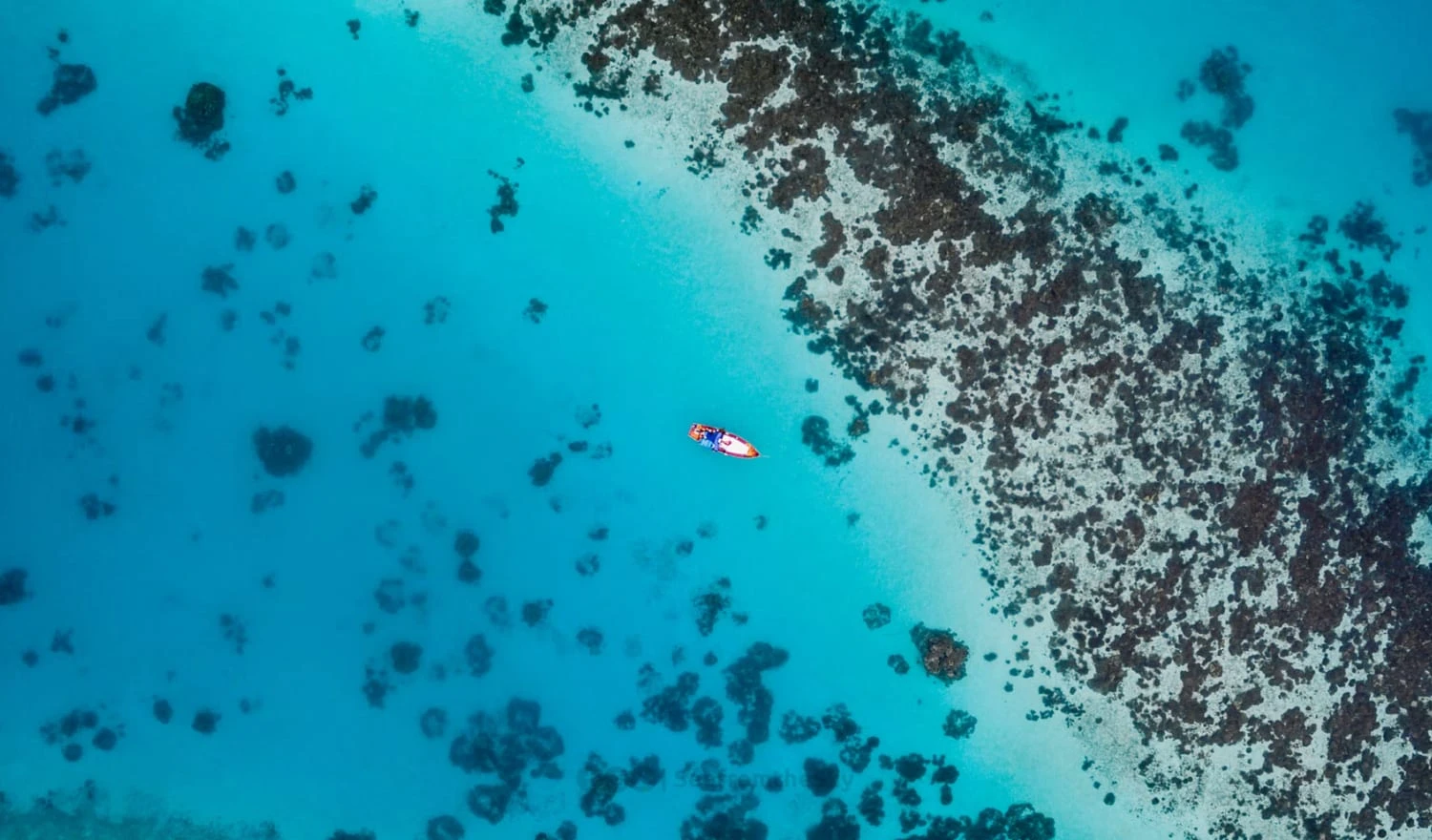 A person paddle boarding on a beautiful reef