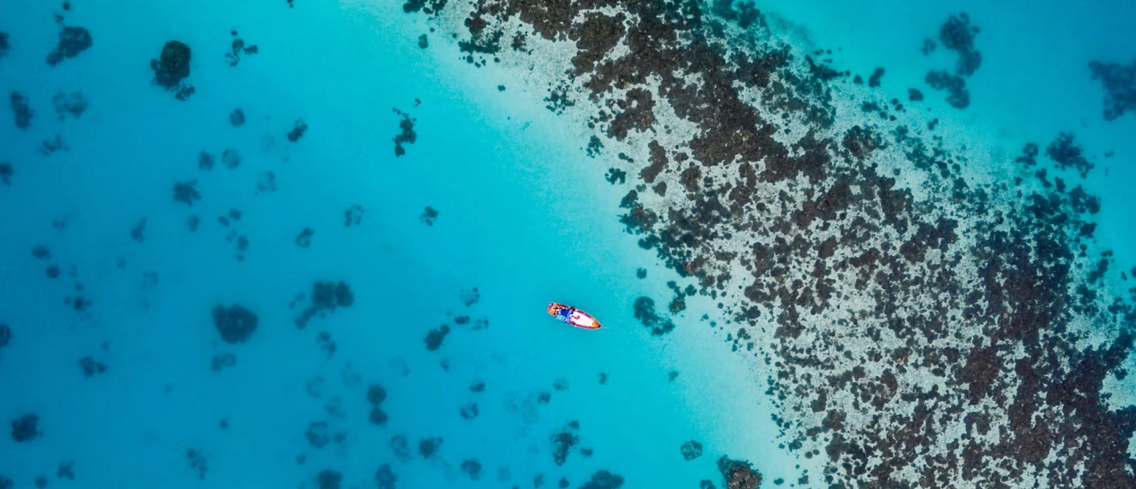 A person paddle boarding on a beautiful reef